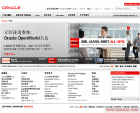 甲骨文公司 美国软件巨擘如何引领全球应用软件服务